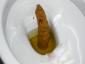 Imagen de josefern